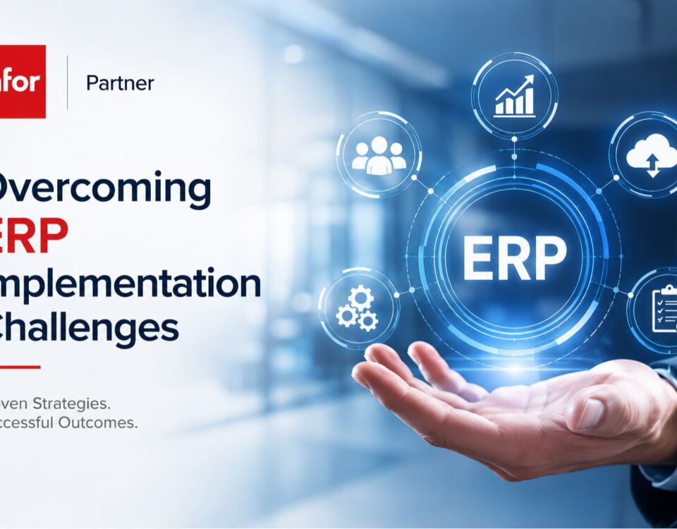 infor erp implementation
