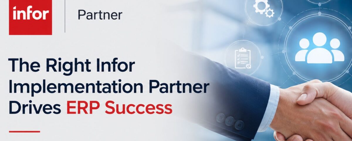 erp implementation partner